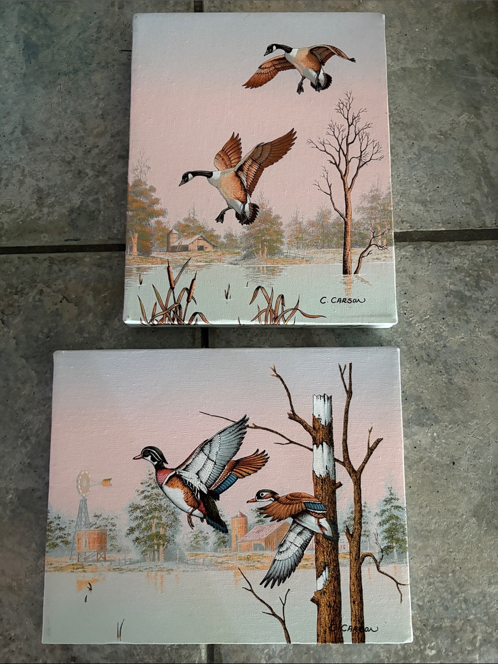 C. Carson stretched canvas art